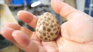 Polishing Petoskey Stones with a Lortone Bull Wheel [upl. by Darrej223]