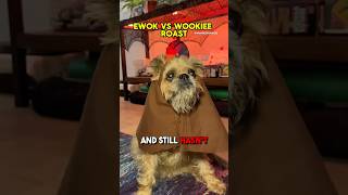 Ewok Vs Wookiee ROAST starwars [upl. by Sandy]