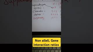 NON ALLELIC GENE interaction RATIOS IN SHORT epistasiscomplementaryduplicatecollaborative [upl. by Oler560]