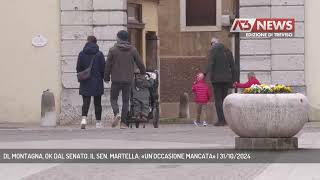 DL MONTAGNA OK DAL SENATO IL SEN MARTELLA «UNOCCASIONE MANCATA»  31102024 [upl. by Eillat]