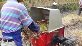 Mechanical rice threshing [upl. by Dutchman863]