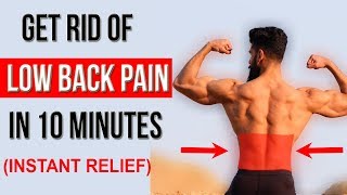 Fix LOWER BACK PAIN in 10 Mins Top 4 Stretches [upl. by Lareneg]