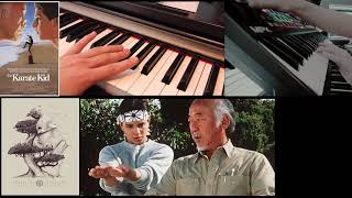 Training hard theme The karate kid 1984 soundtrack cover by Bill Conti [upl. by Janella]