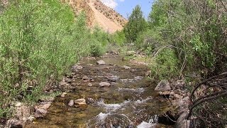 Fishing Utahs Antimony Creek [upl. by Nira]