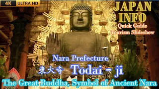 Todaiji Temple Nara PrefectureDaibutsu Great Buddha Japan Travel Quick Guide [upl. by Durst813]