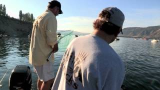 Columbia River Brewster Pool Sockeye Salmon Fishing [upl. by Uchish]