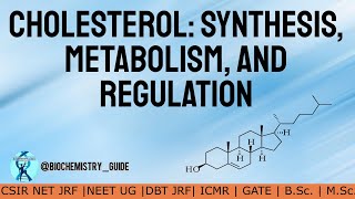 BIOSYNTHESIS OF CHOLESTEROL  Cholesterol Synthesis Metabolism and Regulation [upl. by Hyrup]