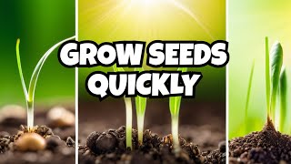 How To Germinate Seeds Quickly  Gardening for Beginners [upl. by Aikenahs]