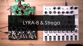 LYRA8 amp Make Noise Strega [upl. by Annoyi]