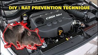 DIY  How to Rat Proof your Car [upl. by Leake]