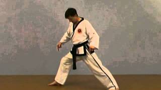 Basic Taekwondo Stances for beginners with master Frank Murphy [upl. by Kemp39]