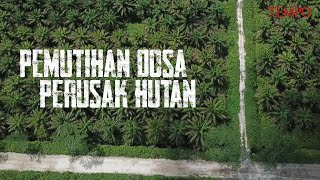 Pemutihan Dosa Perusak Hutan [upl. by Euqinoj50]