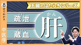 五臓六腑の【肝】｜イメージでわかる「五臓」のはたらき【9割が知らない中医学】 [upl. by Kress]