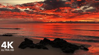 Perfect Sunrise at the Beach with Calming Sound of Waves  4K Ultra HD [upl. by Anerbes597]