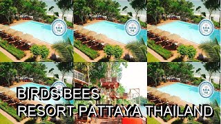 Birds Bees Resort Pattaya Thailand [upl. by Enamrej]