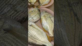 Yellowfin Bream fishBenjie Gonzales tv [upl. by Yaf]