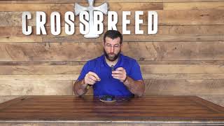 How to Change the IWB Clips on the Crossbreed® Reckoning Holster [upl. by Yatnahc]