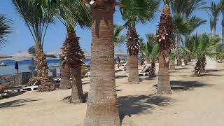 Brayka Bay Reef  Beautiful Beach Marsa Alam  Egypt Resort brayka [upl. by Styles]