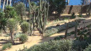 jardin de cap roig costa brava Palafrugell [upl. by Odraboel]