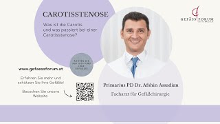 Was ist die Carotis und was passiert bei einer Carotisstenose [upl. by Fanestil]