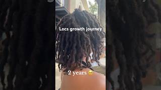 2 years loc’d journey locsjourney locs [upl. by Aimet]