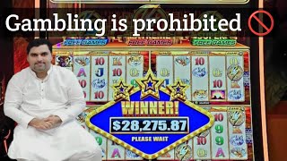 gambling documentary [upl. by Roleat514]