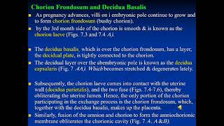 Gen embryology lecture XII fetal membranes amp placenta part I [upl. by Boyse]