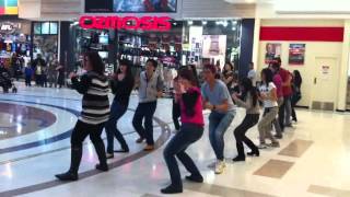 Flashmob Eye of The Tiger [upl. by Atirma]