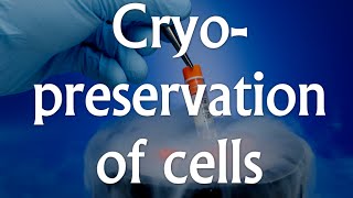 Cell culture techniques 4  Cryopreservation [upl. by Ochs]