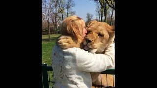 woman reunited with adopted lion  Truely Heart Warming [upl. by Lletnom592]