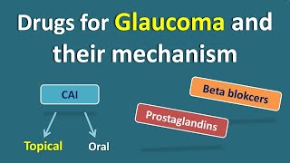 Drugs for Glaucoma and their mechanism of action  Drugs for topical and oral use [upl. by Schlosser]