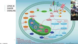 OICR Mondays Lipidomics in Cancer Research [upl. by Ennair]