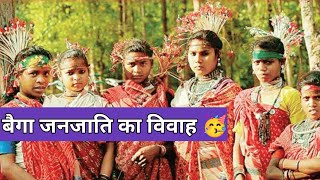 बैगा जनजाति विवाह।। छत्तीसगढ़।। Baiga Tribes Marriage cgmovie Shorts trending chitranjandhurve [upl. by Etnaud622]