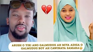 ARUSH O CIYRATA DAGAL QABIL U BADALAY😱MARKI U GALMUDUG BOY CAWIYAY SAMARA YIRI ANO GALMUDUG AH… [upl. by Salbu]