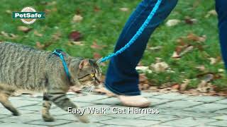 PetSafe® Easy Walk® Cat Harness amp Lead [upl. by Tella497]