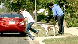 POOP STEALING PRANK Greg Benson amp Jack Vale [upl. by Nnylasor]