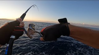 Open fishing season shore jigging Montenegro [upl. by Ahasuerus]