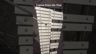 Leaves from the Vine music marimba guitarcenter avatar iroh chicojokeo [upl. by Lourdes]