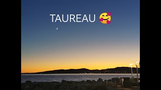 TAUREAU SENTIMENTAL AOÛT 2024 ❤️ [upl. by Kutzer959]