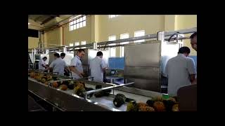 Pineapple juice processing plant [upl. by Annod]