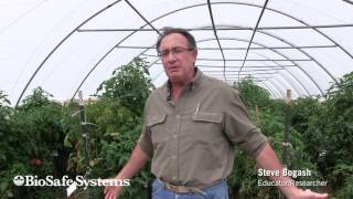 Soil Program Effective in Eliminating Disease Steve Bogash Trial 2015 [upl. by Merkley]