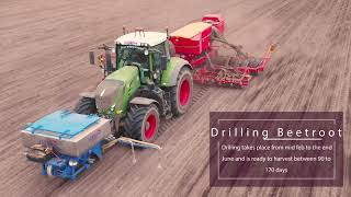 Drilling beetroot  Stan White Farms  Beetroot UK [upl. by Eirbua]