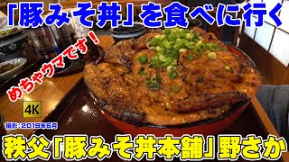 秩父に「豚みそ丼」を食べに行く  豚みそ丼本舗 野さか  【めちゃうま紀行】 [upl. by Trella]