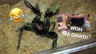 Arachnophobic friend FEEDS my TARANTULAS for the FIRST TIME  “Whoaa my goshhh” [upl. by Bertero]