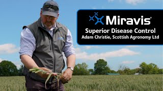 Superior cereal disease control with MIRAVIS® [upl. by Alatea]