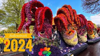 🌷Bloemencorso Bollenstreek 2024 Netherlands  Dutch Flower Parade 🇳🇱 [upl. by Aidni]