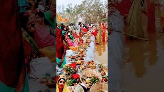 Happy Chhath Pooja shardasinhasong chathpoojageet [upl. by Neyu]