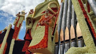 Bloemencorso Lichtenvoorde legt in 2018 lat weer hoger [upl. by Ysiad971]