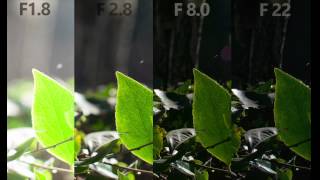 DSLR Basics Aperture Shutter Speed and ISO [upl. by Chane]