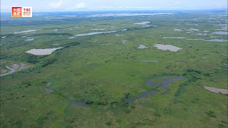 Pantanal Conservation Area Brazil  TBS [upl. by Ardnazxela]